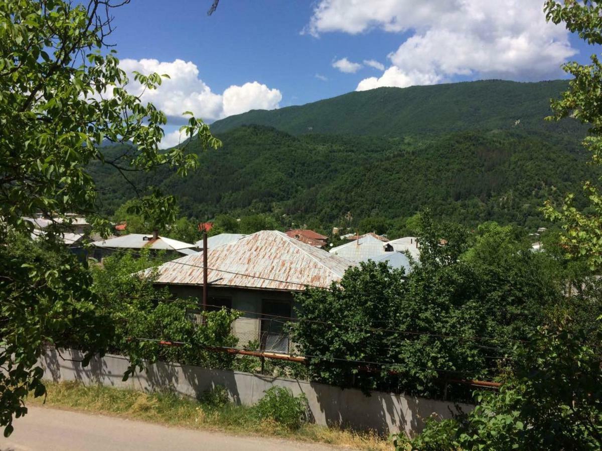 Villa Portina Ambrolauri Exterior foto